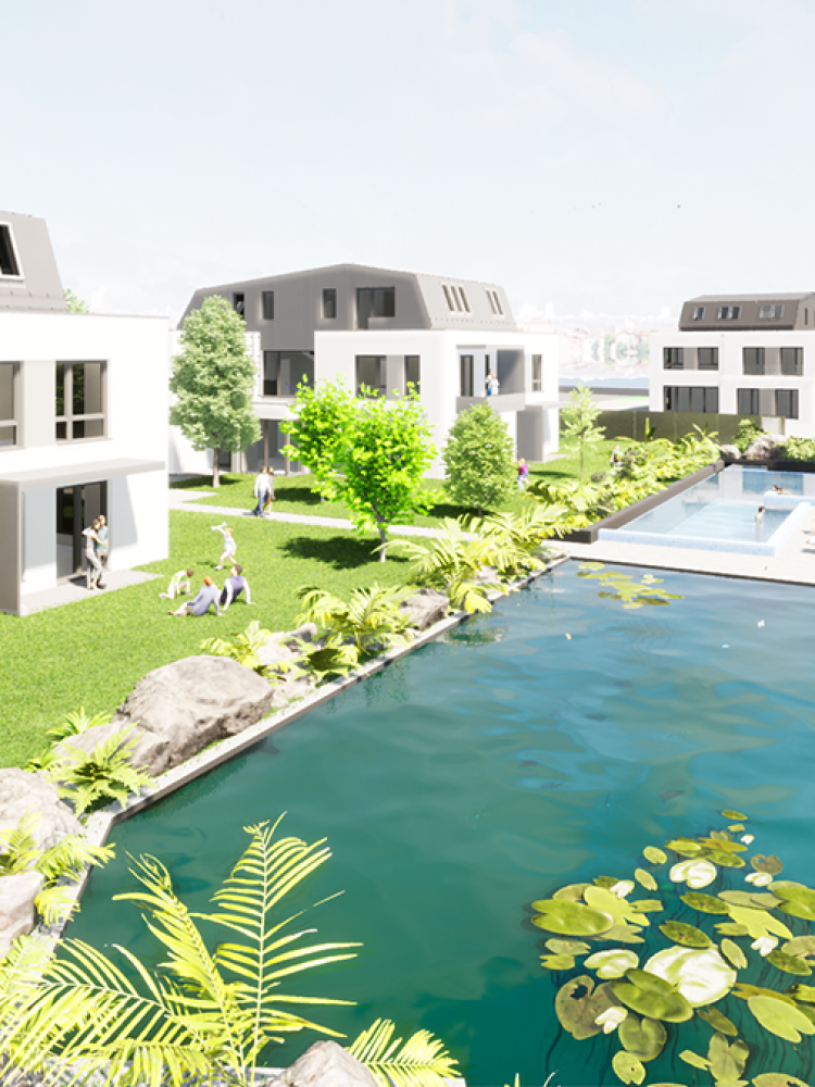 Medence- wellness és ház-dísztó látványterv