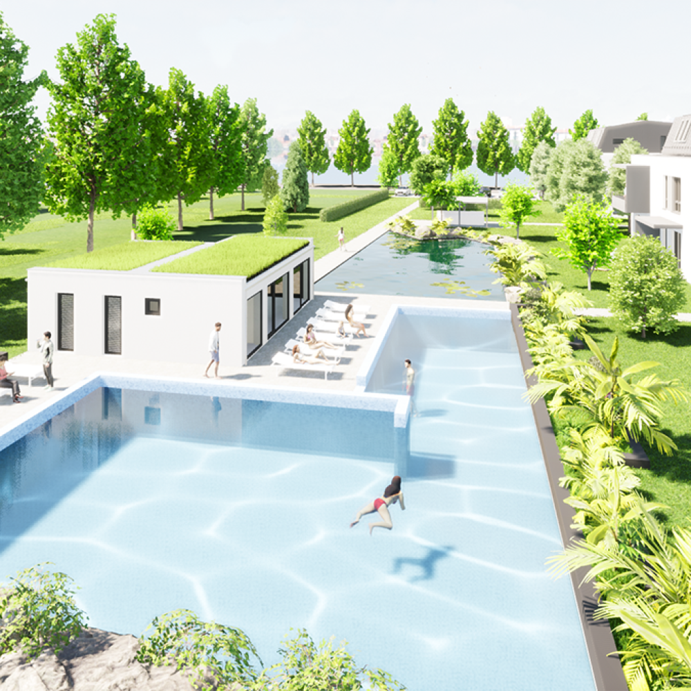 Medence- wellness és ház-dísztó látványterv