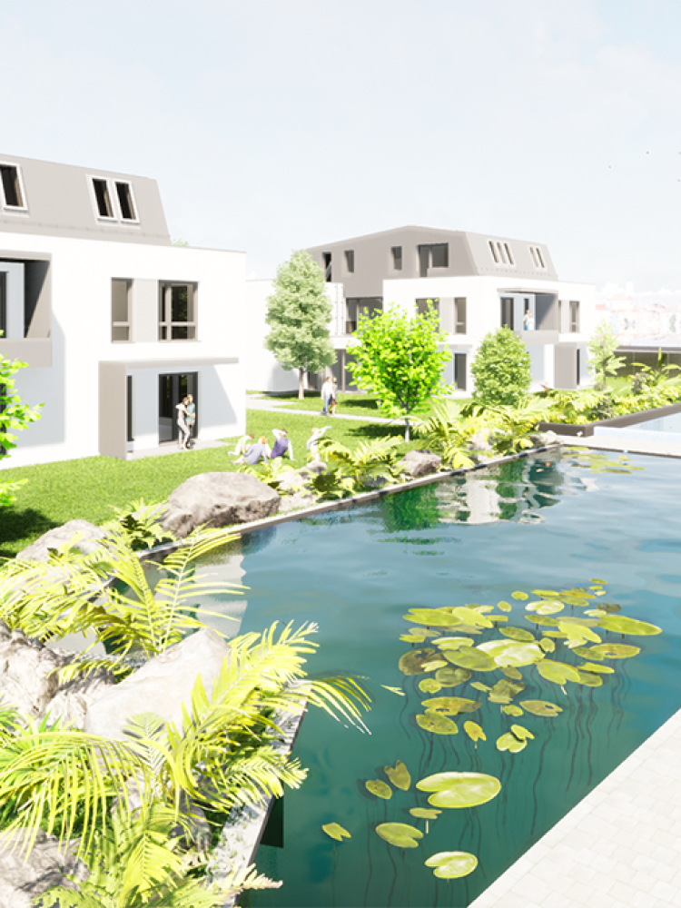 Medence- wellness és ház-dísztó látványterv